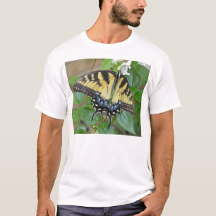 Camiseta Borboleta oriental de Swallowtail do tigre