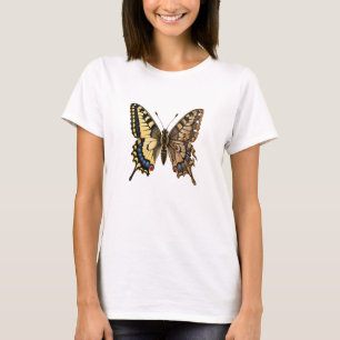 Camiseta Borboleta Rabo de Andorinha do Velho Mundo Asa Fei