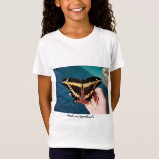 Camiseta Borboleta Rabo-de-Andorinha-Gigante