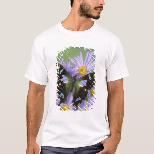 Camiseta Borboleta sobre Roxo (Frente)