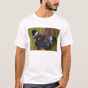 Camiseta Borboleta tropical