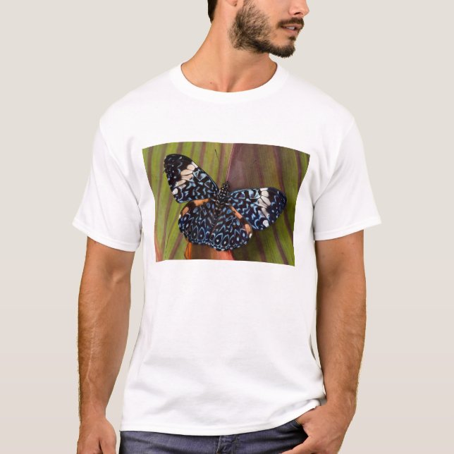 Camiseta Borboleta tropical (Frente)