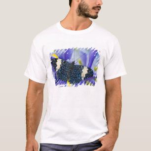 Camiseta Borboleta Tropical Íris Roxa