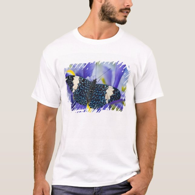 Camiseta Borboleta Tropical Íris Roxa (Frente)