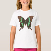 Borboleta verde de Swallowtail