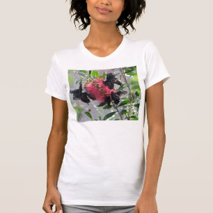 Camiseta Borboletas