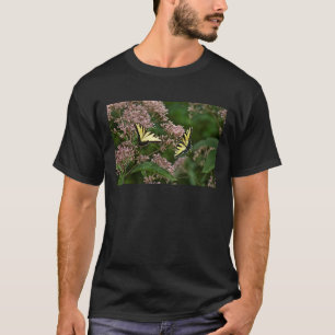 Camiseta Borboletas-do-pântano-Tigre em Joe Pye Weed