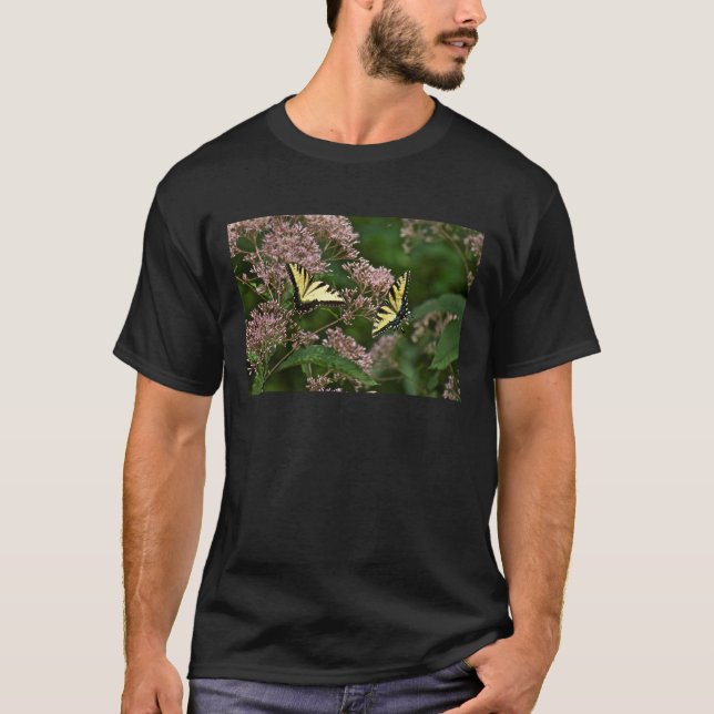 Camiseta Borboletas-do-pântano-Tigre em Joe Pye Weed (Frente)