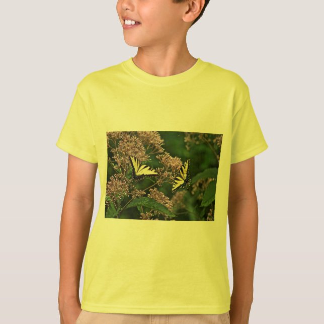 Camiseta Borboletas-do-pântano-Tigre em Joe Pye Weed (Frente)