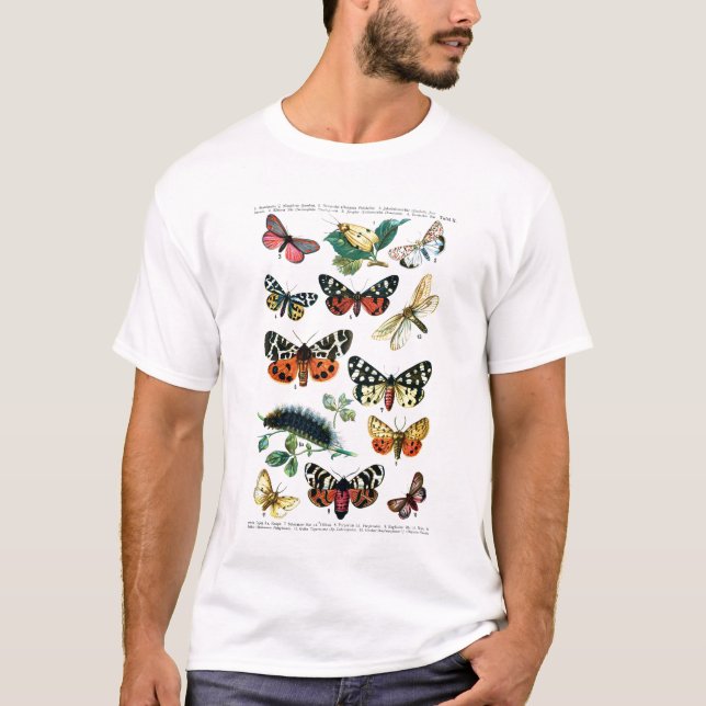 Camiseta Borboletas européias (Frente)