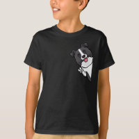 Borda Collie Dog