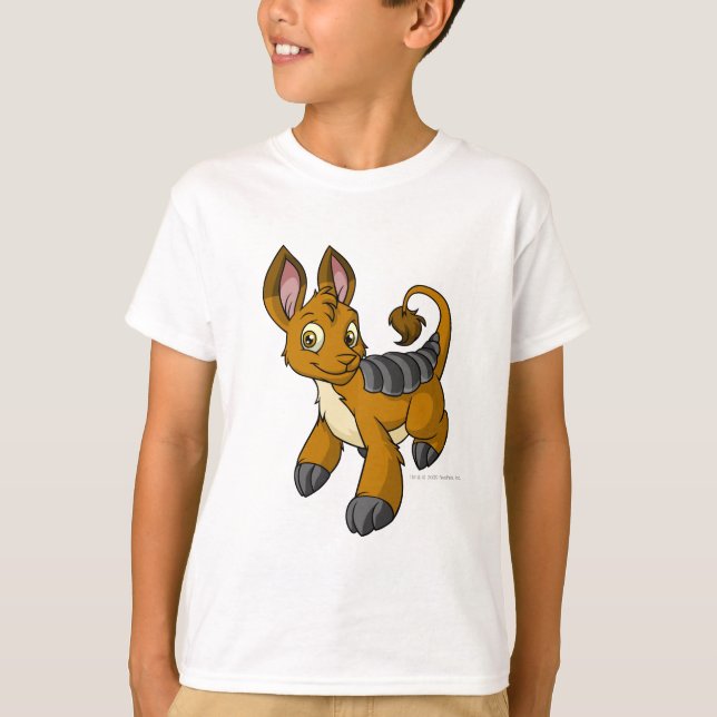 Camiseta Bori Brown (Frente)