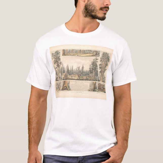 Camiseta Bosque gigantesco da árvore (0976A) (Frente)