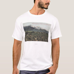 Camiseta Bosques alaranjados com Baldy velho Mt na