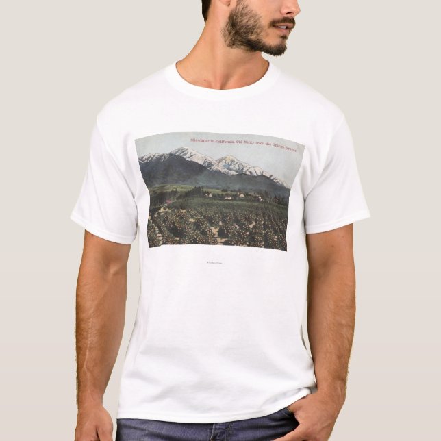 Camiseta Bosques alaranjados com Baldy velho Mt na (Frente)