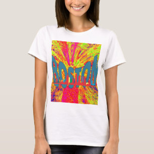 Camiseta Boston
