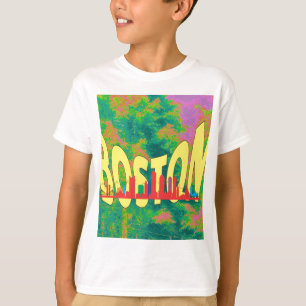 Camiseta Boston