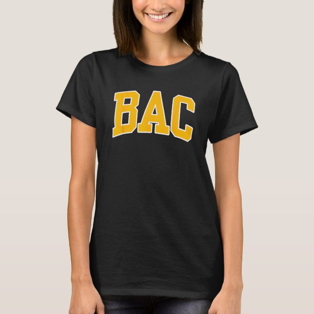Camiseta Boston Architectural College Arch 02 (Frente)