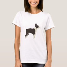 Boston Terrier