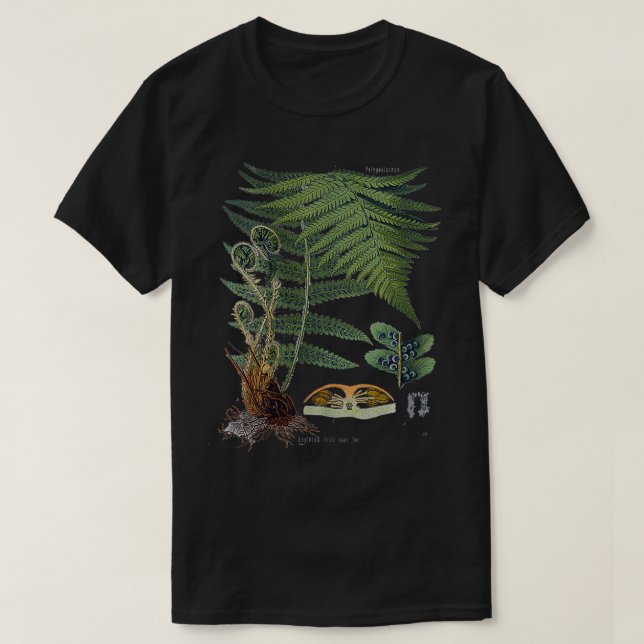 Camiseta Botânica Botânica Fern das Mulheres VNeck (Frente do Design)
