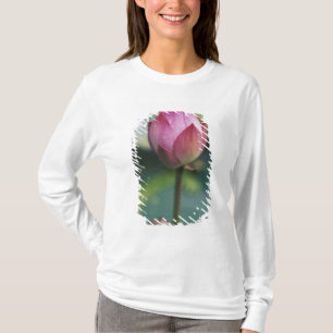 Camiseta Botão de flor de lótus, Hangzhou, Província de Zhe