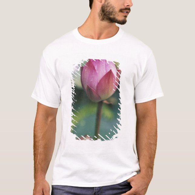 Camiseta Botão de flores de Lotus, Hangzhou, província de Z (Frente)