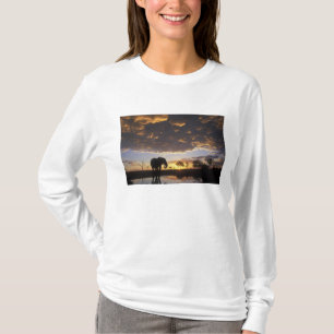 Camiseta Botswana, Parque Nacional Chobe, Elefante