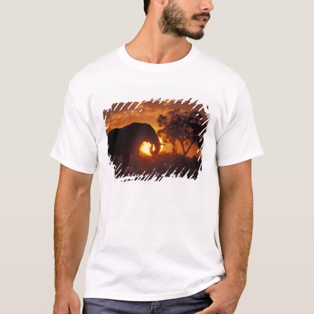 Camiseta Botswana, Parque Nacional Chobe, Elefante macho (Frente)
