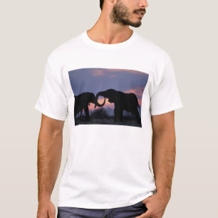 Camiseta Botswana, Parque Nacional Chobe, Elefantes