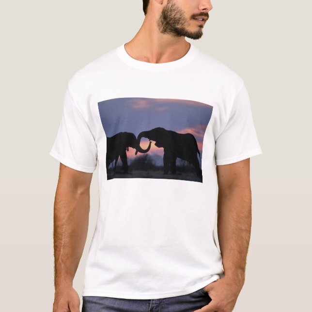Camiseta Botswana, Parque Nacional Chobe, Elefantes (Frente)
