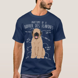 Camiseta Bouvier Des Flandres Fawn Cream Anatomia 1