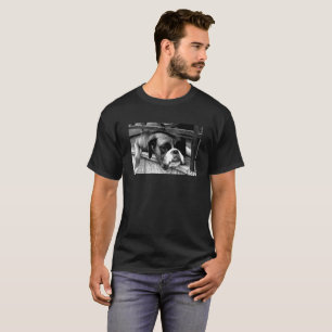 Camiseta Boxer Dog On Windowsill Mens cn T Shirt