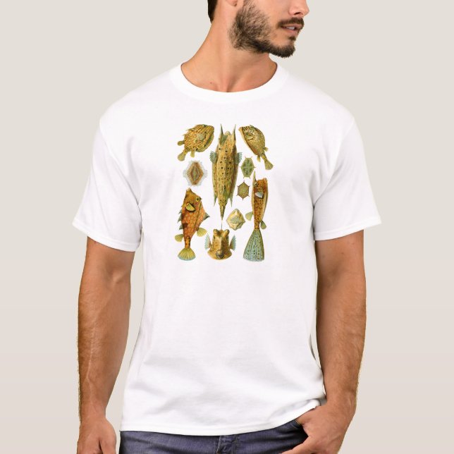 Camiseta Boxfish ou Cowfish (Frente)