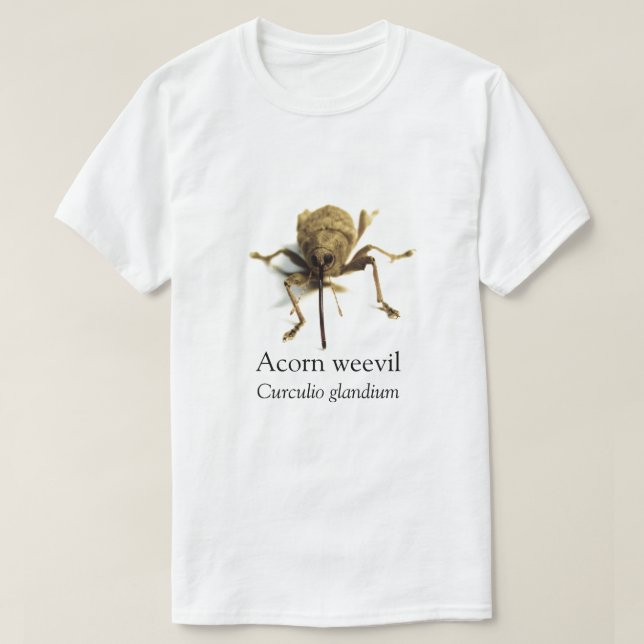 Camiseta BOYB Acorn Wevil (Frente do Design)