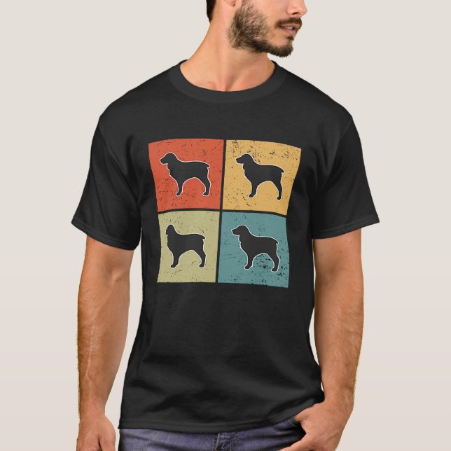 Camiseta Boykin Spaniel Vintage  4 (Frente)