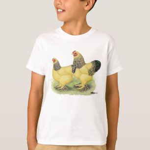 Camiseta Brahma Buff Pair
