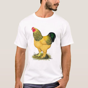 Camiseta Brahma: Buff Rooster
