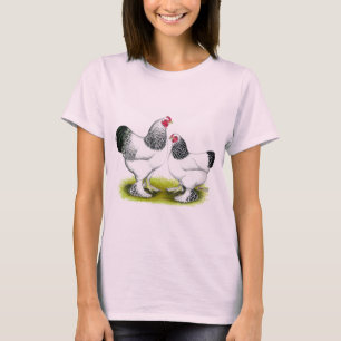 Camiseta Brahma:  Clara