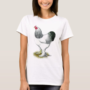 Camiseta Brahma: Galo claro