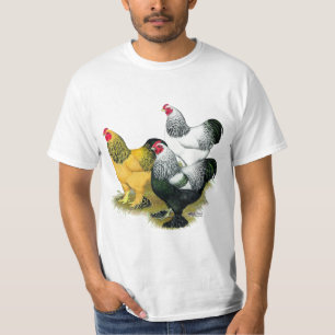 Camiseta Brahmas três galos