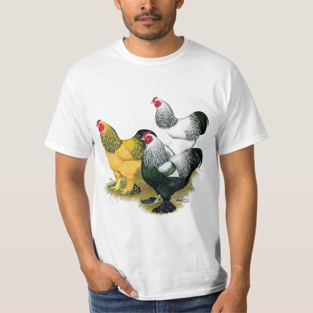 Camiseta Brahmas três galos (Frente)