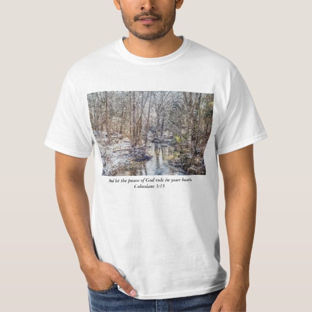 Camiseta Branson Fall Creek Winter Snow Painterly (Frente)