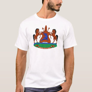 Camiseta brasão de armas bandeira país símbolo heráldica em