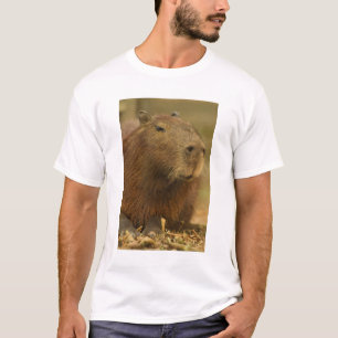 Camiseta Brasil, Pantanal, Matto Grosso. Capivara
