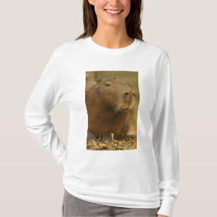 Camiseta Brasil, Pantanal, Matto Grosso. Capivara