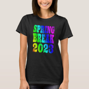 Camiseta Break 2023 Vintage Rainbow
