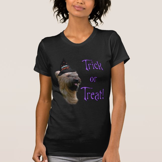 Camiseta Briard Trick (Frente)