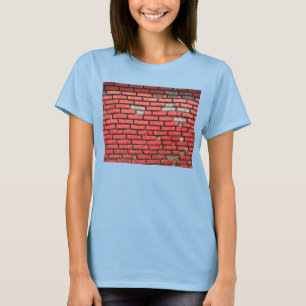 Camiseta Brick Tshirt