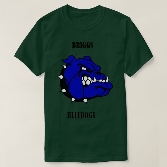 Camiseta Briggs Bulls (Frente do Design)