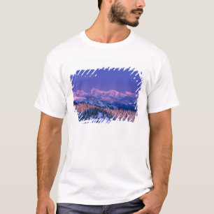 Camiseta Brilho alpino atinge os picos da Geleira